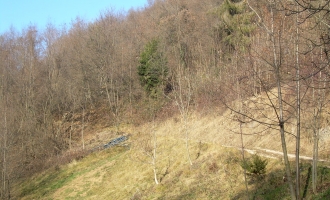 dscn1111