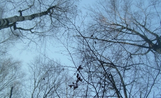 dscn0986