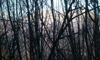 dscn0987