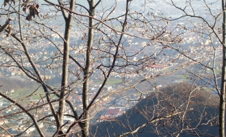 dscn1003