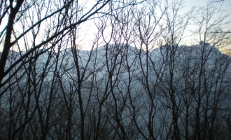 DSCN0736