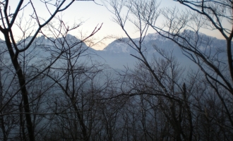 DSCN0737