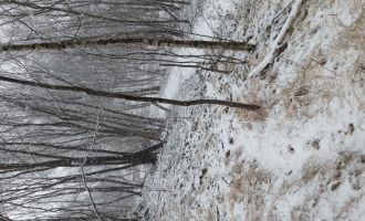20141227_123046
