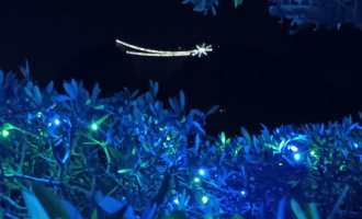 img_20251226_175028-620ad03c4151c57140b9d077083432a3fb28f53e